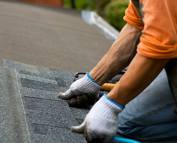 Best Commercial Roof Installation  in Bourg, LA